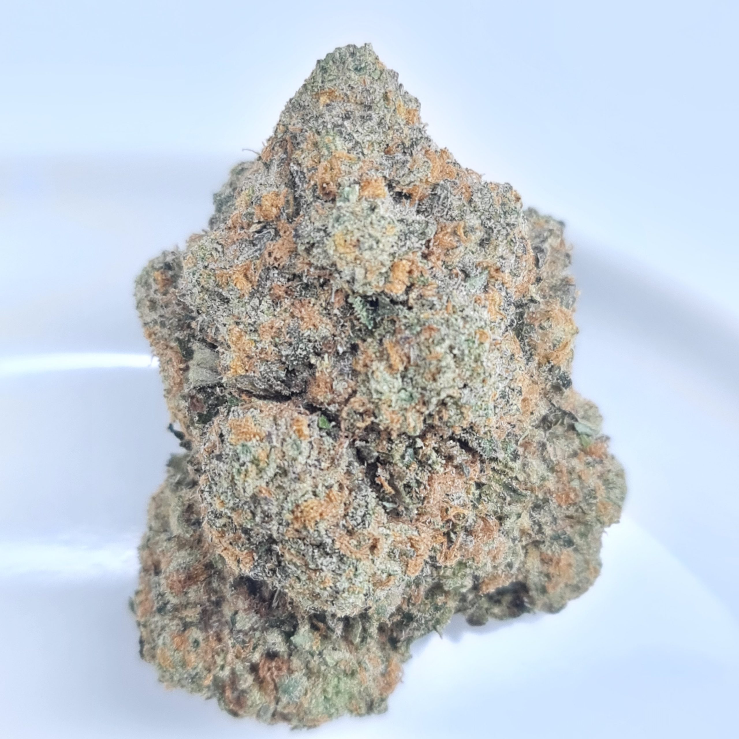 PINK COOKIES BUDGET QUADS BC BUD $200/2OZ $120/OZ $70/HALF OZ - Image 2