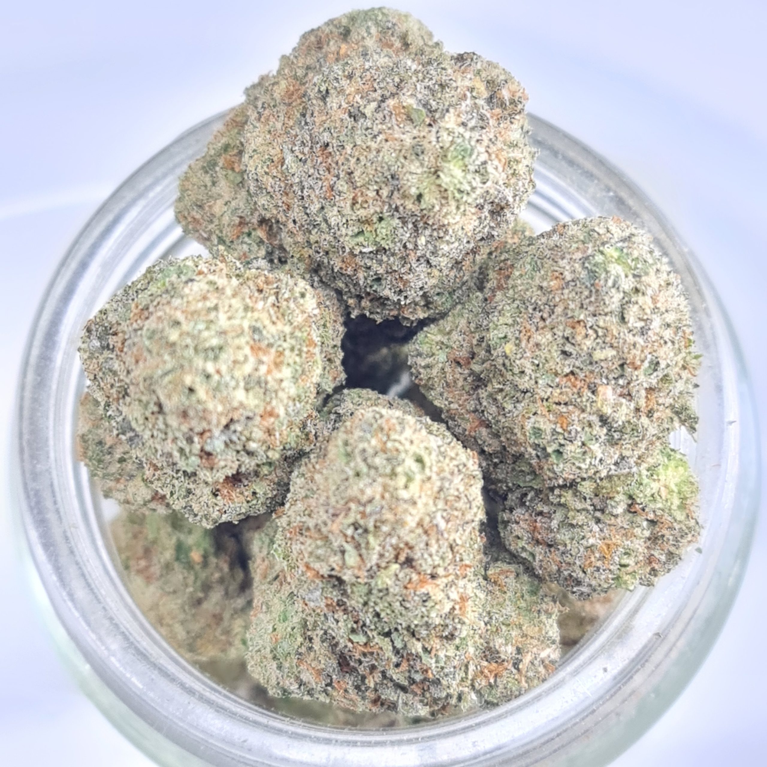 CALI OCTANCE BUDGET QUADS $180/2OZ $100/OZ $60/HALF OZ
