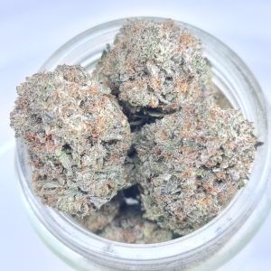 HINDU KUSH BUDGET TRIPS $140/2OZ $75/OZ $45/HALF OZ