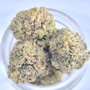 GORILLA GLUE #4 BUDGET TRIPS $140/2OZ $75/OZ $45/HALF OZ