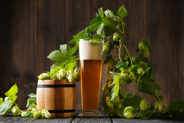 ontario craft beer