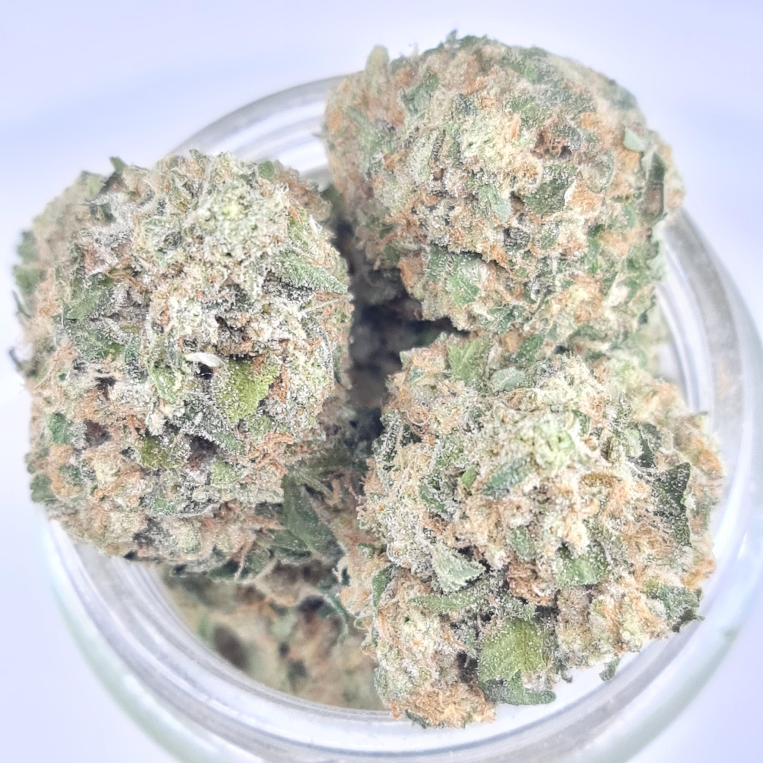 JET FUEL PIE BUDGET TRIPS $140/2OZ $75/OZ $45/HALF OZ