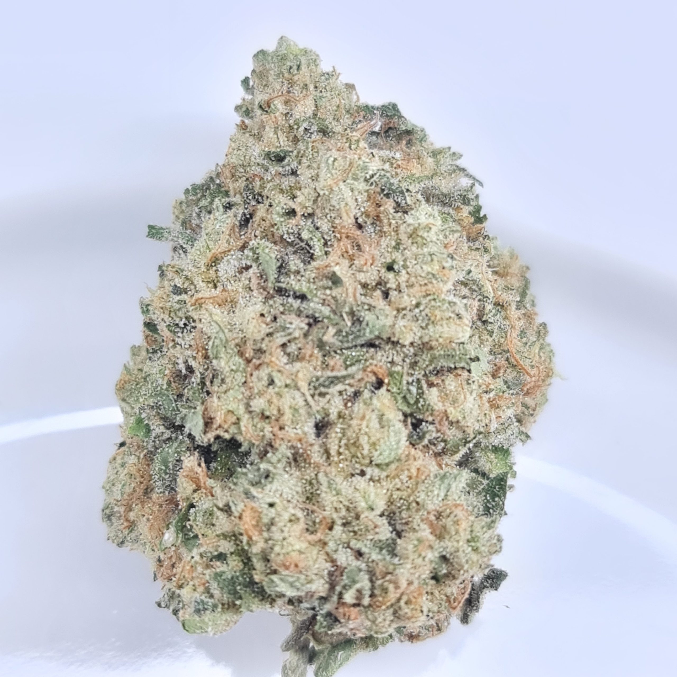 JET FUEL PIE BUDGET TRIPS $140/2OZ $75/OZ $45/HALF OZ - Image 2