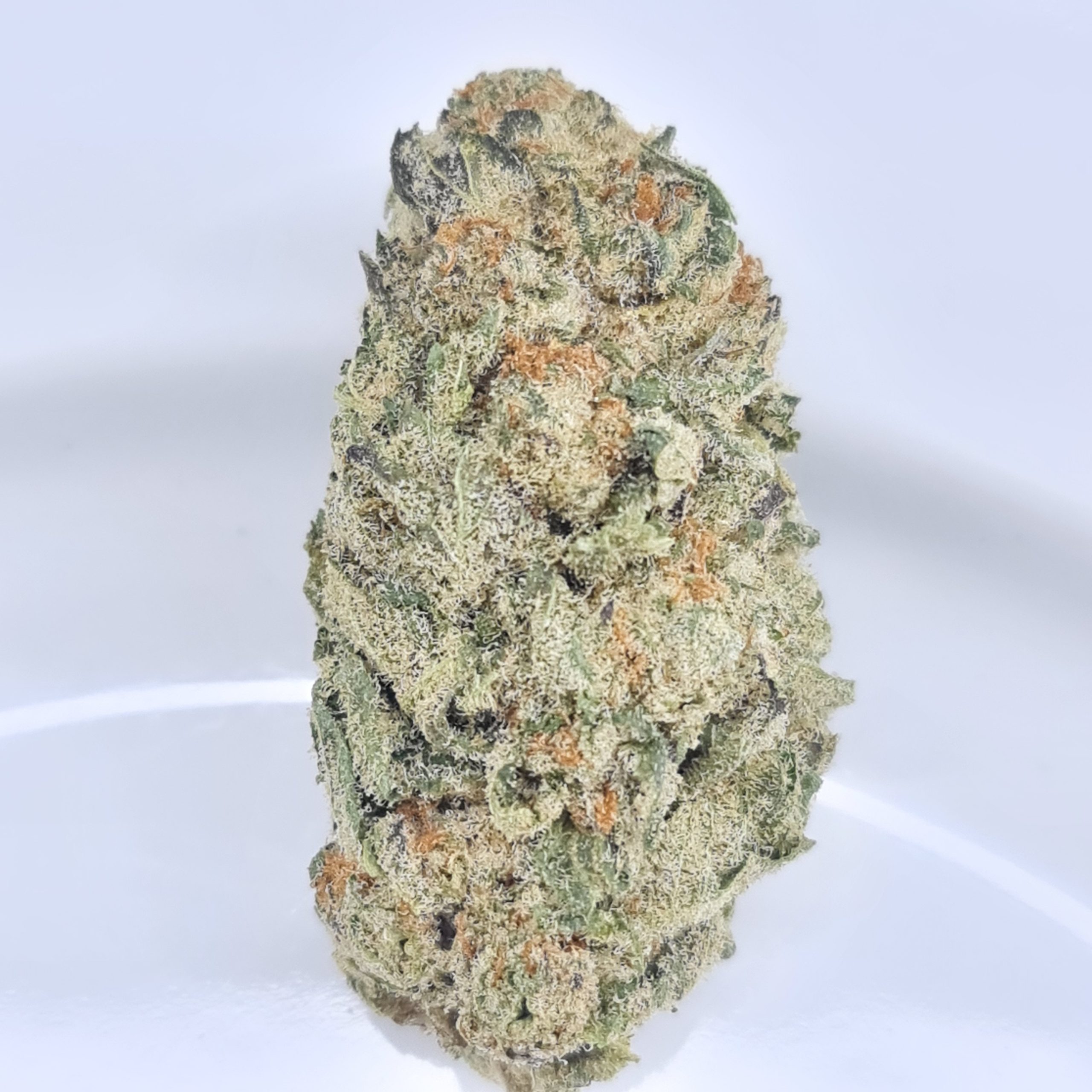 GREEN CRACK BUDGET TRIPS $140/2OZ $75/OZ $45/HALF OZ - Image 2
