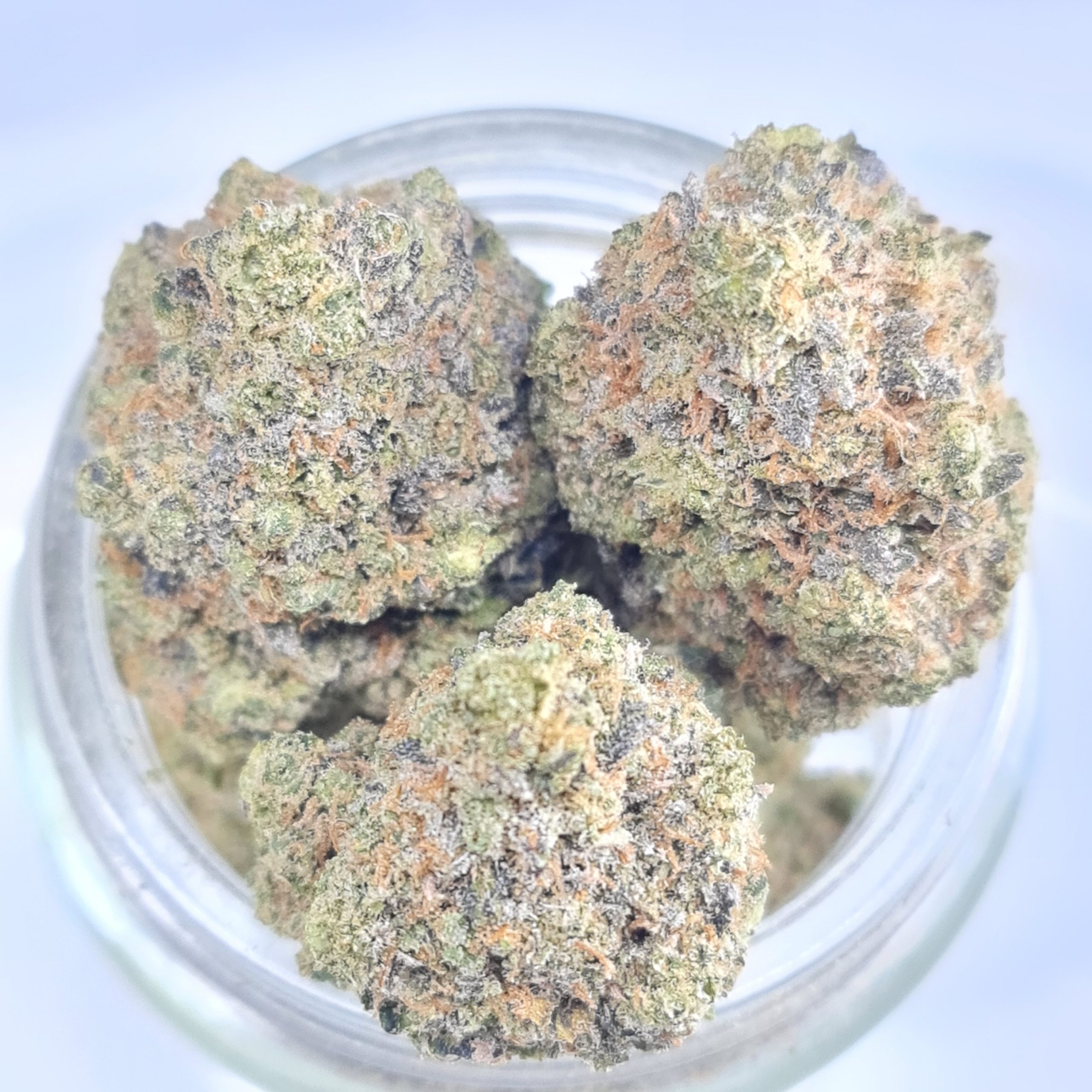 STINKY PINKY BUDGET QUADS $180/2OZ $100/OZ $60/HALF OZ