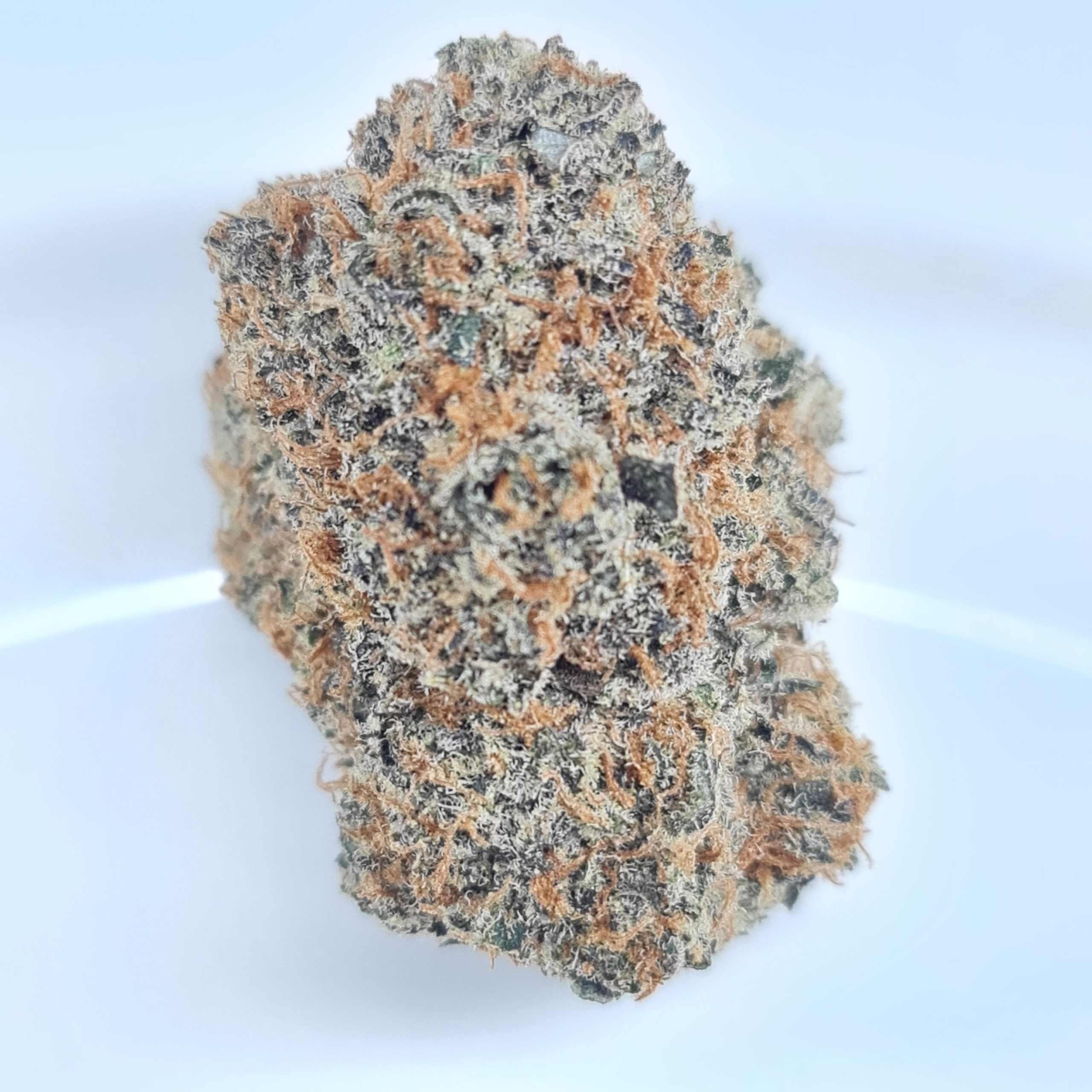 PINK FIRE OG BUDGET SUPER QUADS BC BUD $250/2OZ $140/OZ $80/HALF OZ - Image 2