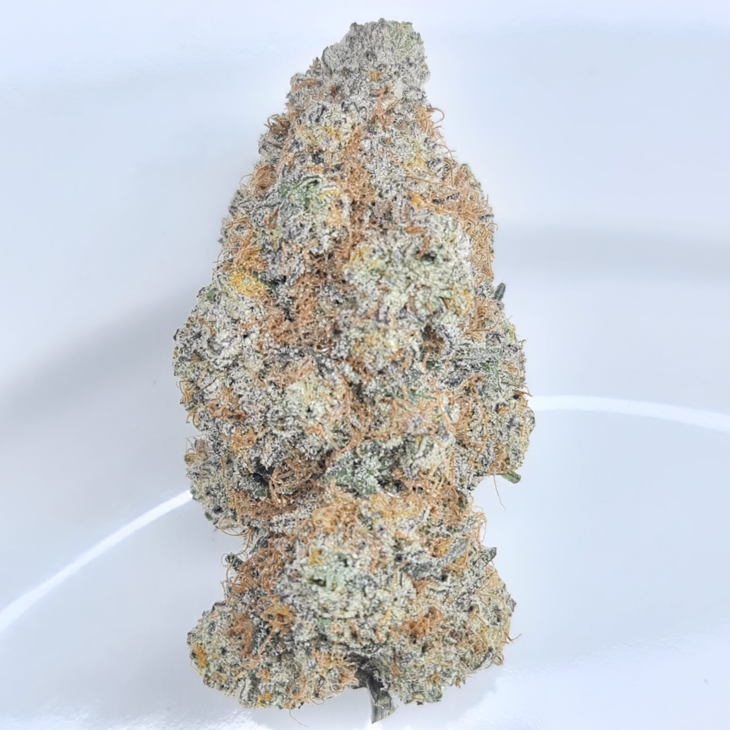 PLATINUM PAVE BUDGET QUADS $250/2OZ $140/OZ $80/HALF OZ - Image 2